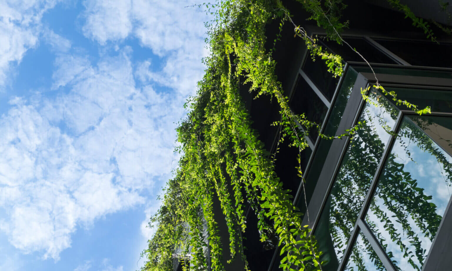 ESG Policy Developments in the United States– March 2022