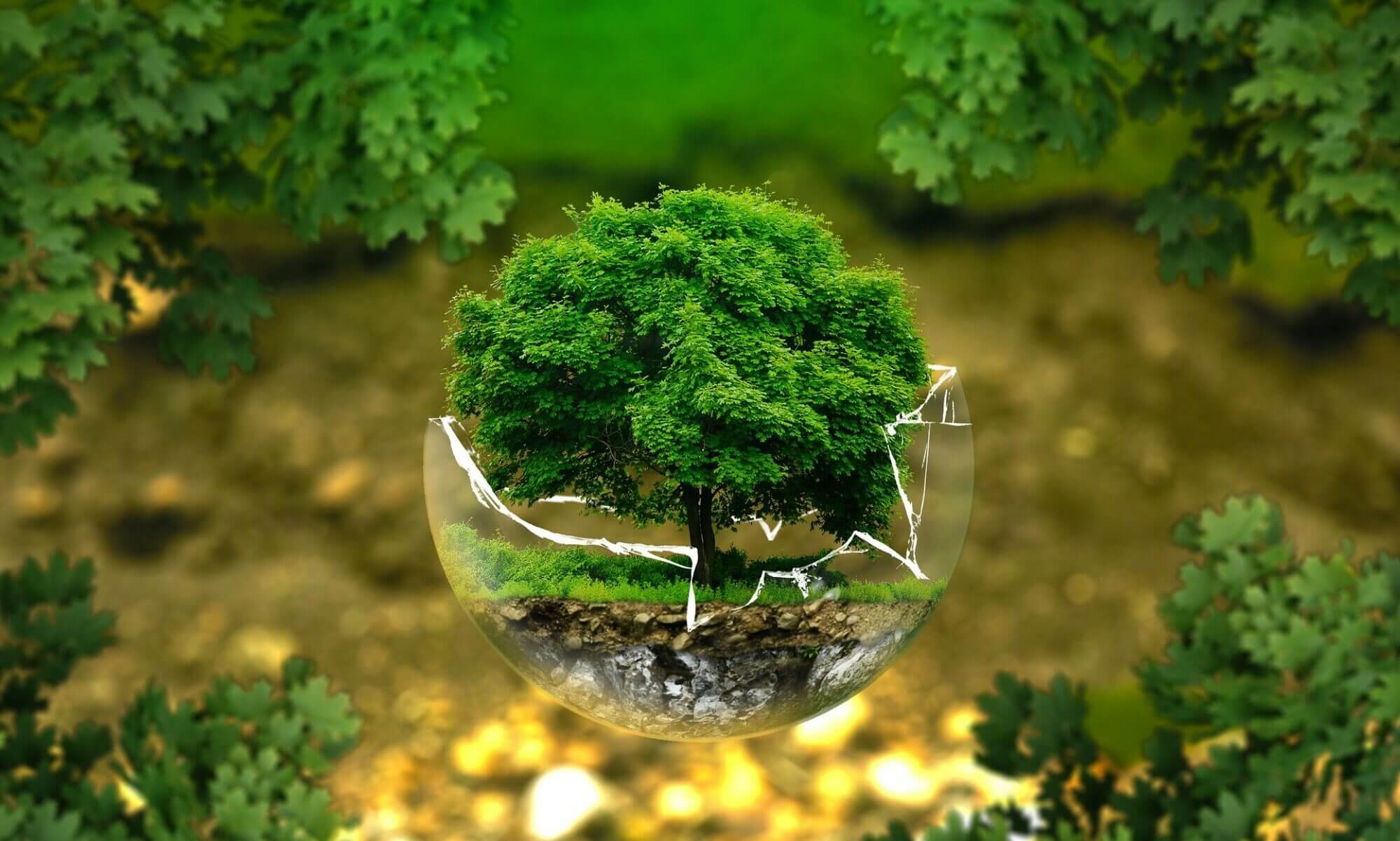 ESG: 21st century operational management tool